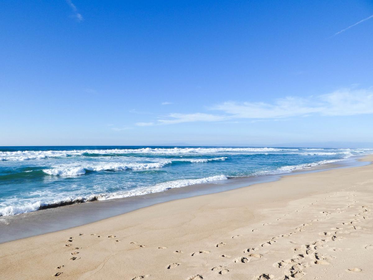 Briarwood Inn Carmel-by-the-Sea ภายนอก รูปภาพ